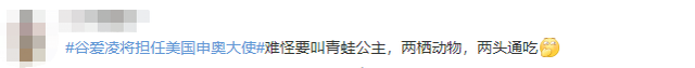 回国的谷爱凌，又被骂了