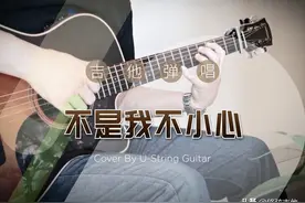 《不是我不小心》吉他弹唱曲谱分享&我对编配及变调夹的看法图片
