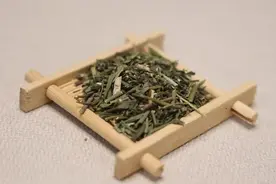 用好小柴胡，不用请大夫！“中医十大名方”之小柴胡汤大揭秘图片