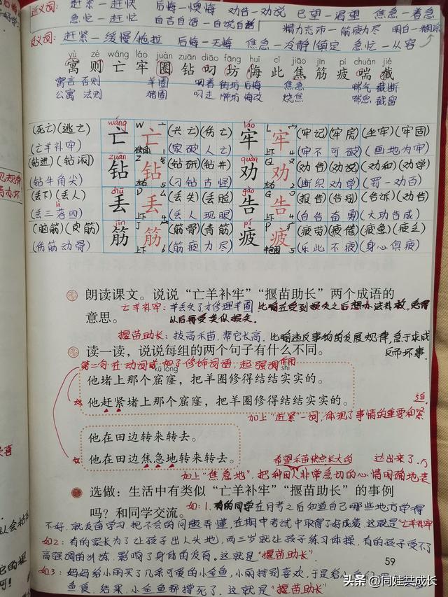 二年级下册语文第12课《寓言二则》课堂笔记