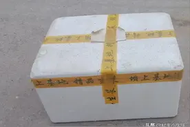 人人都扔掉的泡沫箱，我却用它来自制胶水，堪比502图片