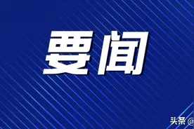 全球最大！芜湖顶格推进深天马投资项目图片