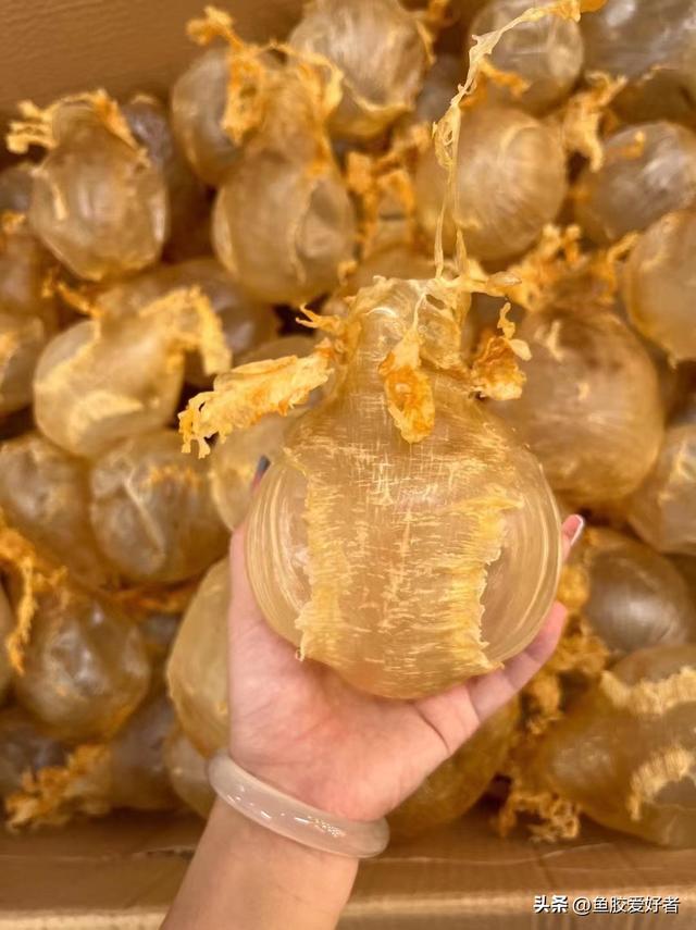 经常加班的人吃花胶的好处 经常吃花胶是否能去斑