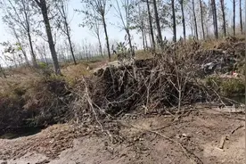 大城市“解封了”，小城市“姐疯了”图片