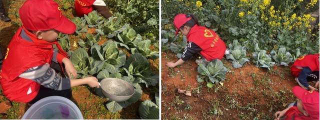 四川省民生研究会新媒体中心-官网