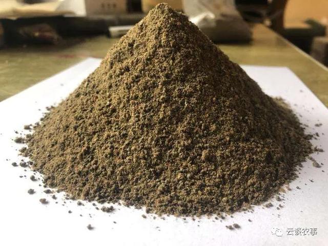 养猪的常用饲料介绍（专业文章建议收藏）