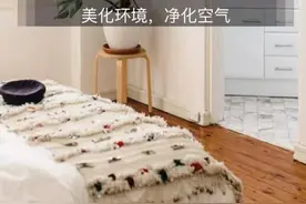 8种吉利花，适合养卧室，夜间不吸氧，好看还能“助睡眠”图片