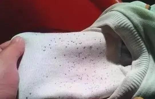 怎样去霉点用什么可以洗掉（衣服发霉的清洗小妙招）