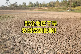 久旱无雨，花生、玉米迟迟种不了，农民急得团团转，咋回事？图片