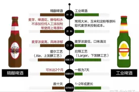 2022年入门级好喝啤酒推荐(附热门好喝啤酒前十排名推荐)图片