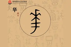 【每周一字】 “华”字的演变图片