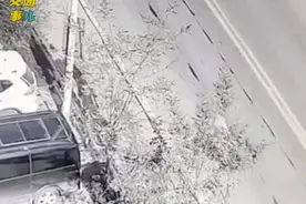 一组动图警示你：轮胎脱落殃及无辜！出发之前一定检查自己的车况。图片