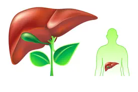 经常染发不仅伤肝，还可能会致癌？多久染一次比较好？真相来了图片