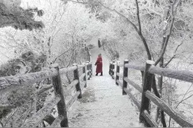 天气预报：新一轮特大暴雪连下7日，最寒冷的春天来了？农谚咋说图片