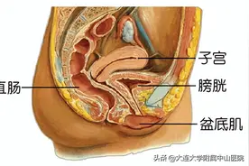 【门诊推介】医院盆底康复中心成立啦！图片
