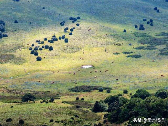 夏日清凉户外，双廊木香坪三种玩法，你更喜欢哪一种？（附攻略）