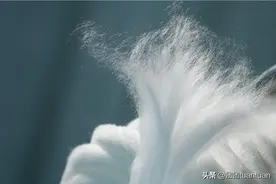 “天丝”和“莱赛尔”，真的是一样吗？图片