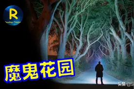 亚马逊恐怖地方，上千平方只剩一种植物，800年里谁在收割生命？图片