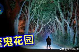 亚马逊恐怖地方，上千平方只剩一种植物，800年里谁在收割生命？图片
