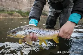 最适合现代男性的32个爱好，你有几个？图片