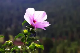 不管关系多好，要知道“请客吃饭”的三条潜规则图片