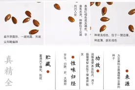 一味中药材，世界公认的超级健康食物-亚麻籽图片