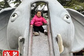 许昌无人不知的童年标配，为何被冷落？图片