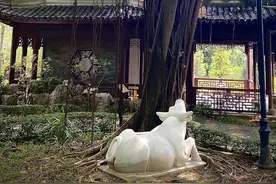 一个值得追忆的传奇地方——《功夫》电影取景地九龙城寨图片