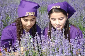 传说之二：香妃的故事图片