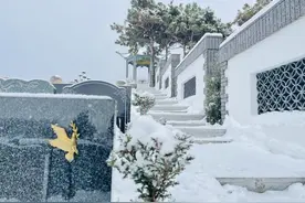 经营性公墓和公益性公墓有什么区别？图片