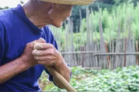 我和继父十年未见，回乡给父母上坟知道真相，我流泪做出一个决定图片