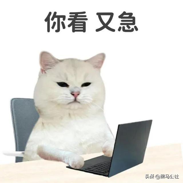 “网络身份证”正式实施！研究了一天后，我觉得……有点东西啊