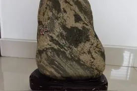 那些年我在泰安偶得的部分泰山石图片