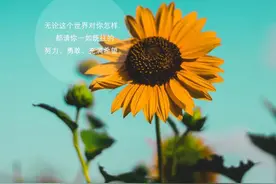 年轻人应该拒绝emo图片