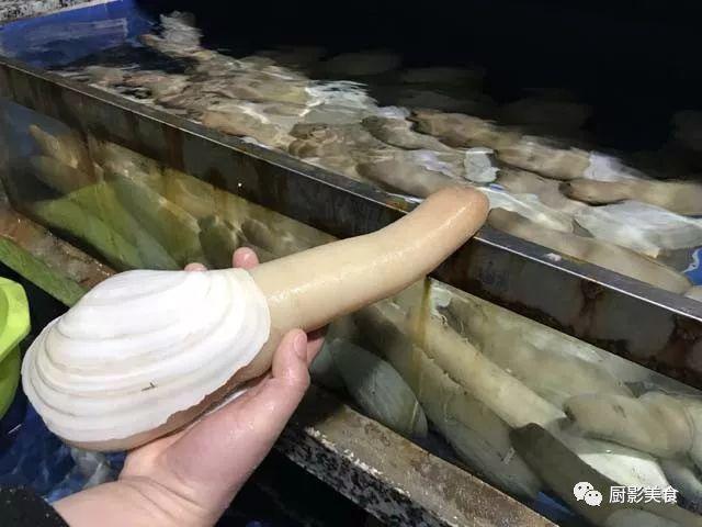 花胶选几级的 花胶等级顺序鱼胶排名大全