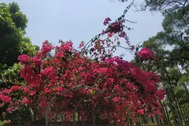 老人亲笔写的遗嘱被认定无效？2022年新规：立遗嘱常见的4个误区图片