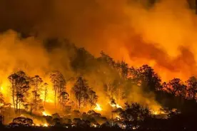 山火肆虐！四川宜宾连天山深夜突发山火 为何中国灭火比美国更快？图片