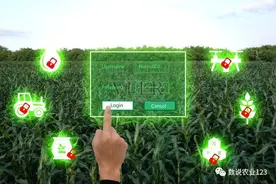 安徽省六安市叶集区智慧农业及智能化农业产业园项目图片