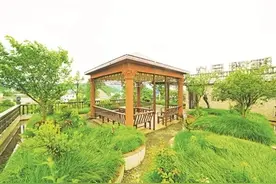 幸福村的“幸福事”图片