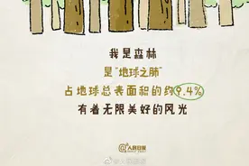 今天国际森林日，一起听听来自森林的独白图片