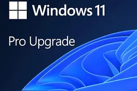正版Win11专业版价格和购买方法介绍图片