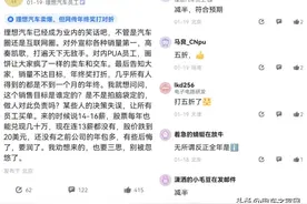 疑似理想汽车内部员工爆料公司PUA 画完大饼不兑现图片