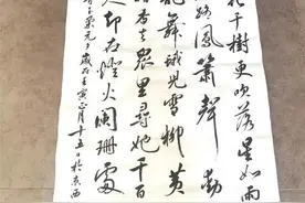 将军豪迈书法展元宵婉约之美图片