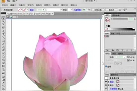 ai怎么抠图去除底色图片