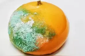 有趣的网络谐音梗图片