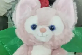 【百日行动】玲娜贝儿卷入案中案 浦东警方接连破获多起制假售假案件图片