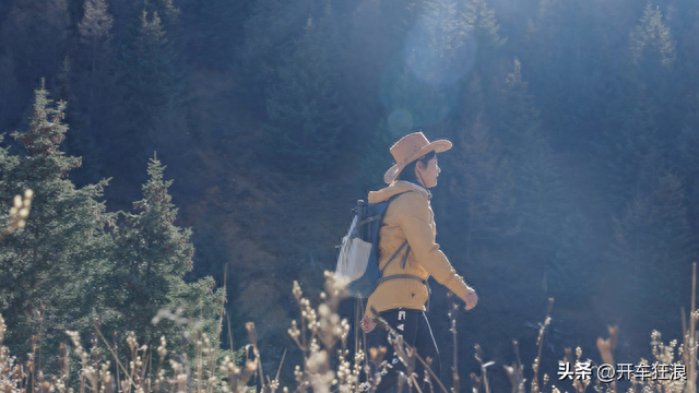 香格里拉旅游攻略(云南自由行旅游攻略及花费)