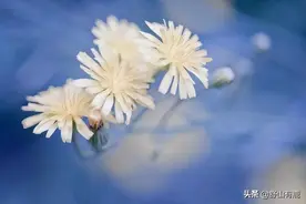 总有一天你会明白，父母和儿女的关系，终究是有因果的图片