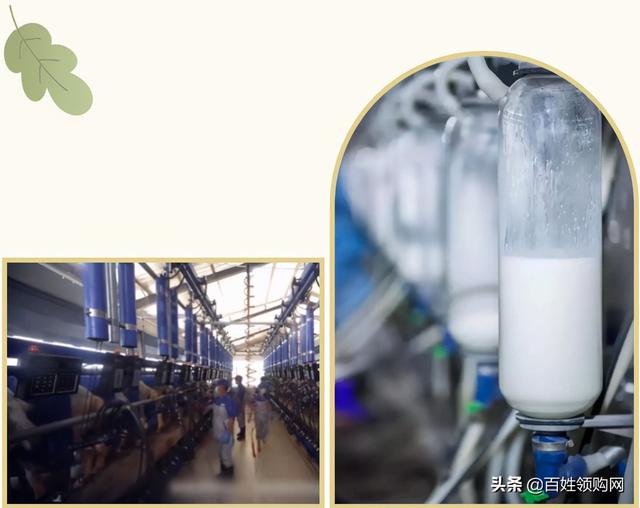 排乳对身体有什么好处