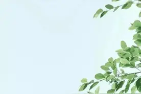 关于“你是我的神”，想起曾经那些夏天 ……图片